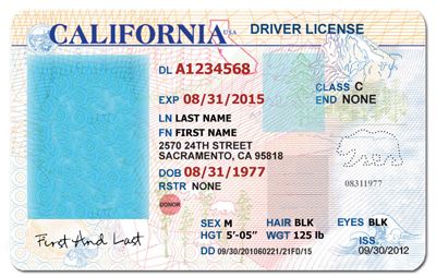 International Drivers License Template